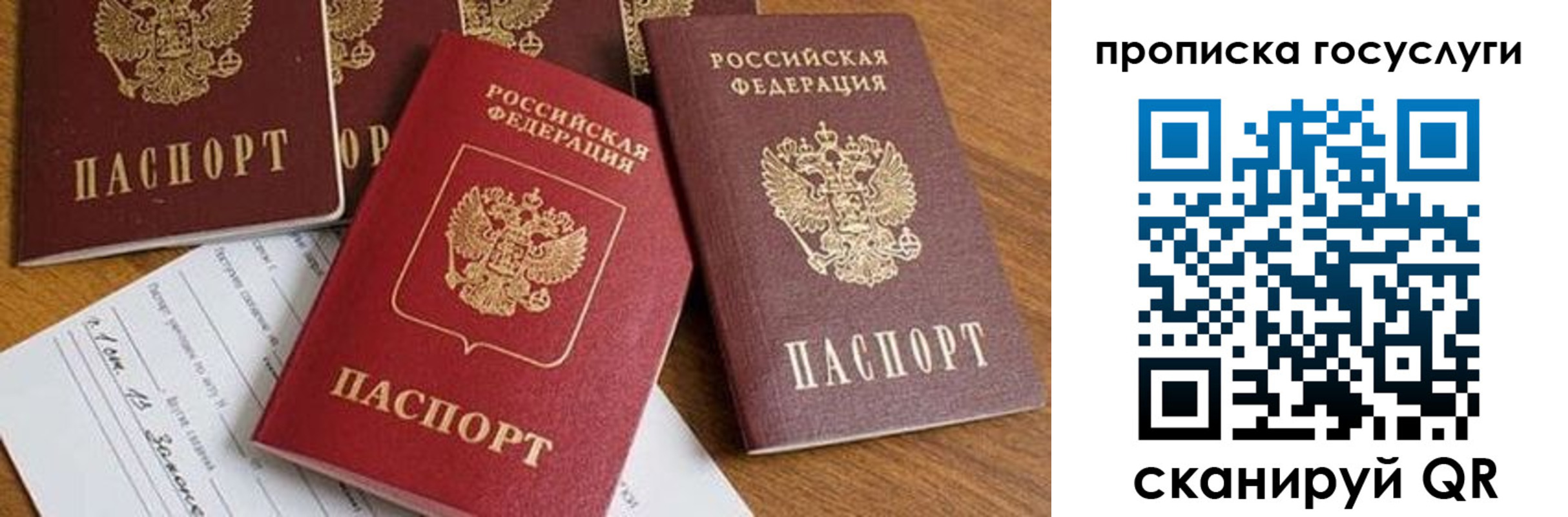 прописка ребенка в Орехово-Зуево